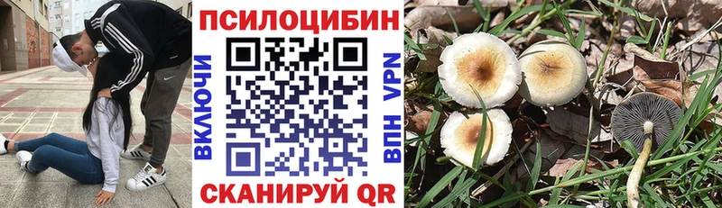 купить наркотики сайты  omg маркетплейс  маркетплейс наркотические препараты  Волчанск  Галлюциногенные грибы прущие грибы 