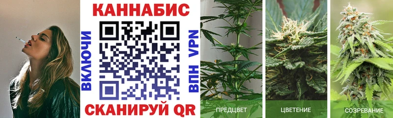 Бошки марихуана планчик  купить  цена  МЕГА как зайти  Волчанск 